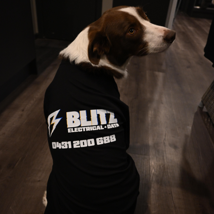 Pawject Manager project oversight